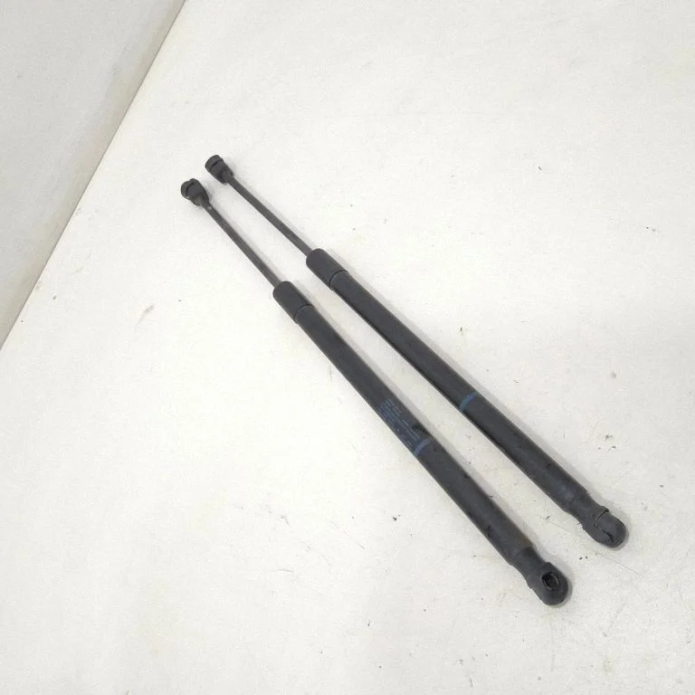 Tailgate/trunk strut/damper 1T0827550
