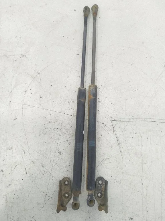 Tailgate/trunk strut/damper – rear
