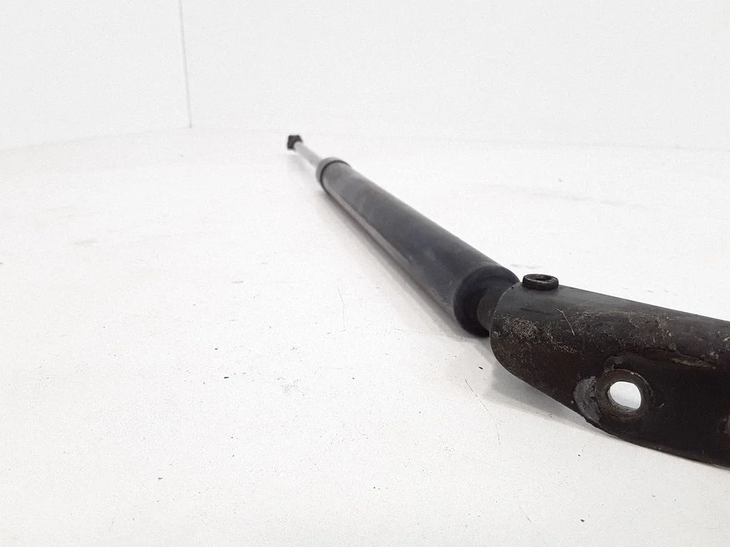 Tailgate/trunk strut/damper
