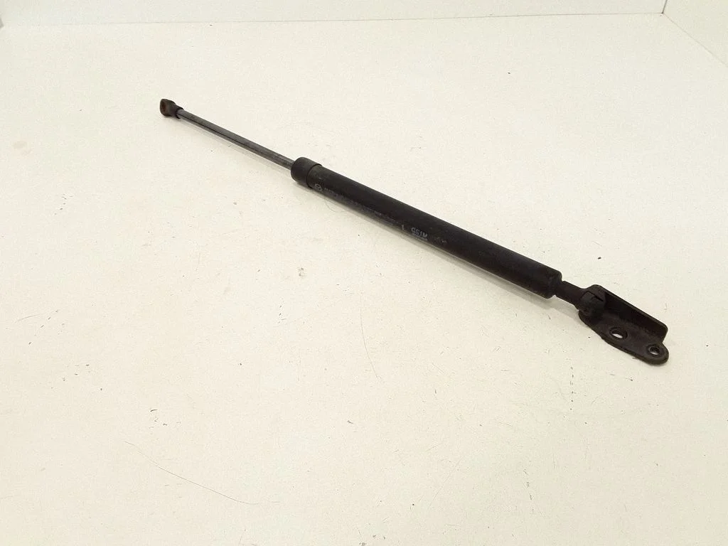 Tailgate/trunk strut/damper