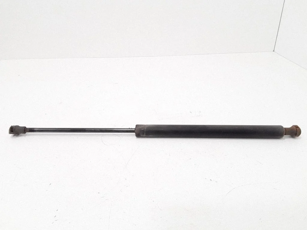 Tailgate/trunk strut/damper