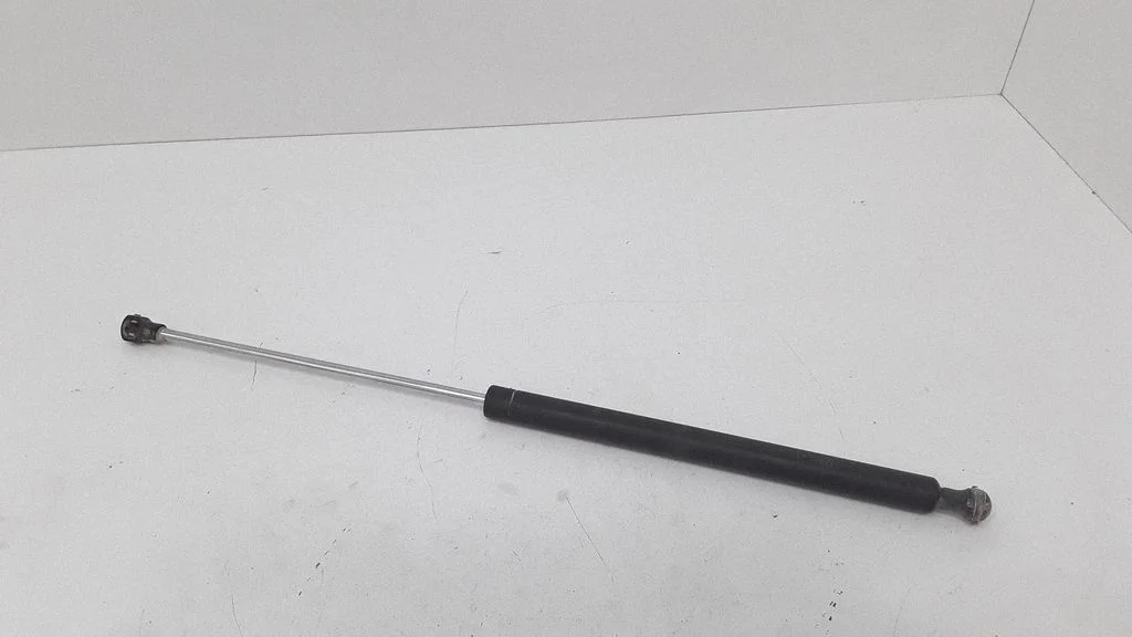 Tailgate/trunk strut/damper