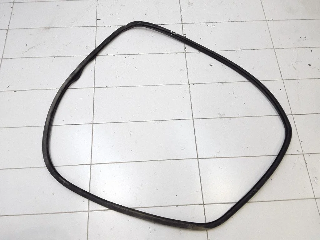 Front door rubber seal – front left