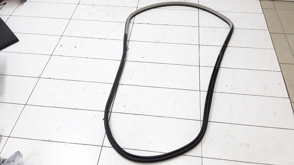 Rear door rubber seal (on body) – rear left