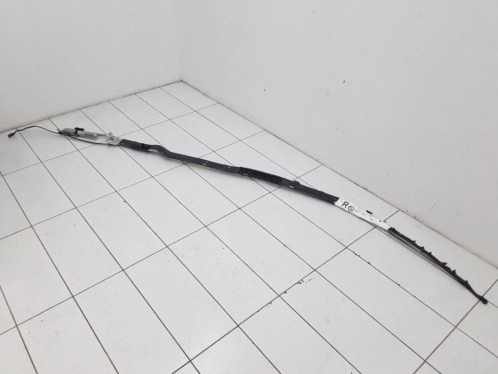 Roof airbag 30345008D