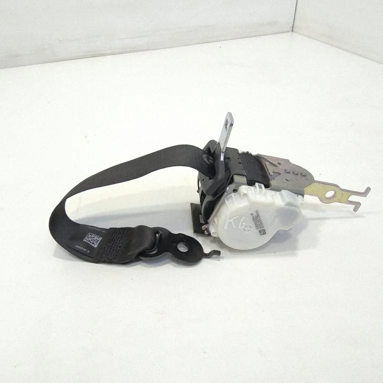 Aizmugurējā drošības josta 33061254B