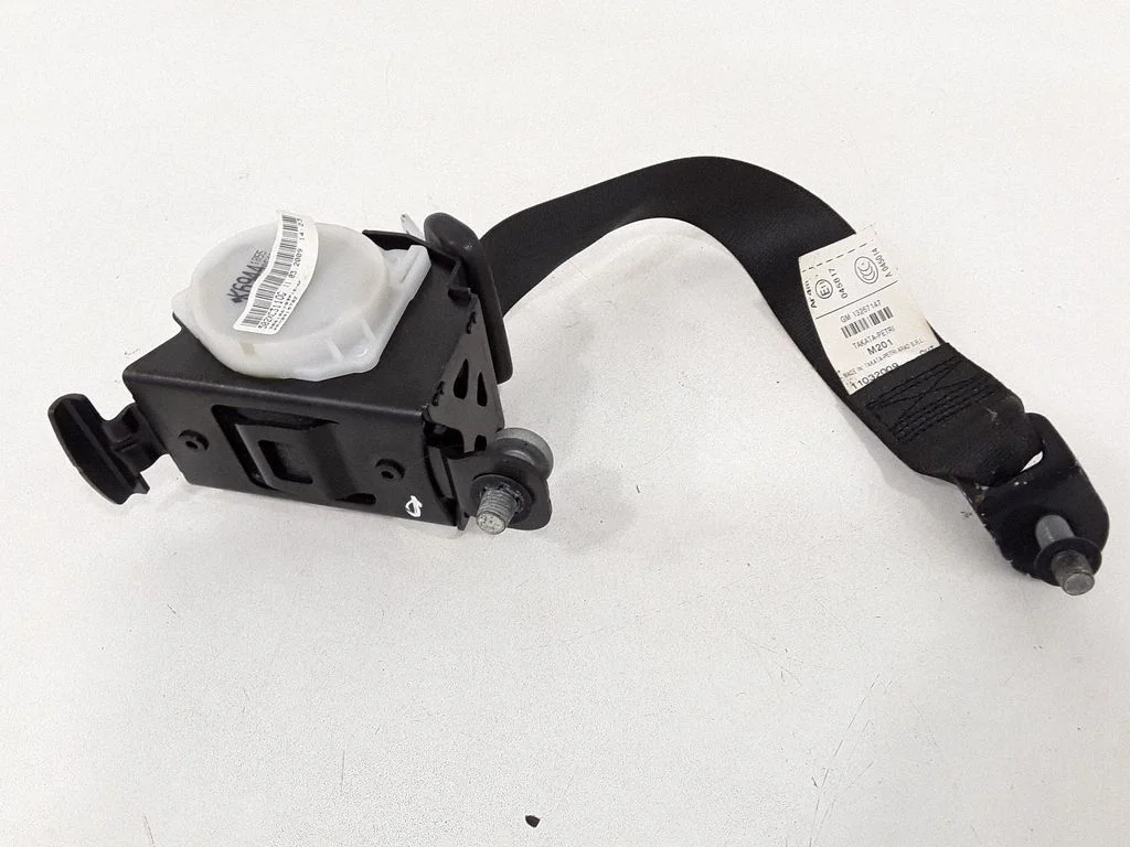 Rear seatbelt 11032009