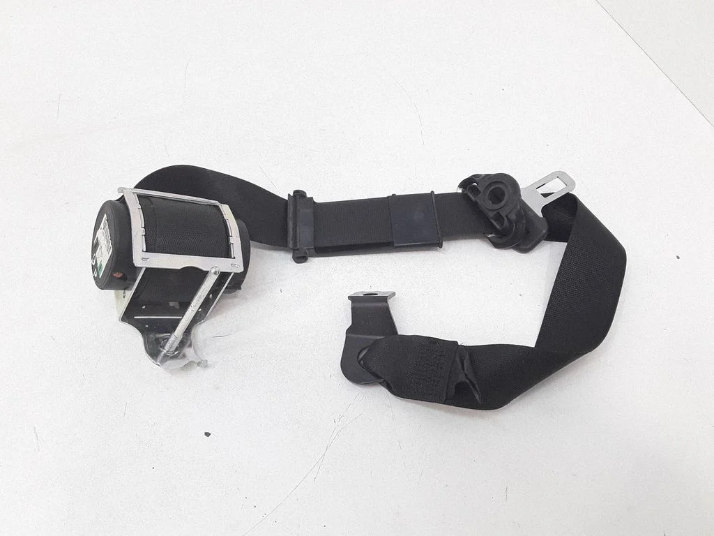 Front seatbelt 560884801