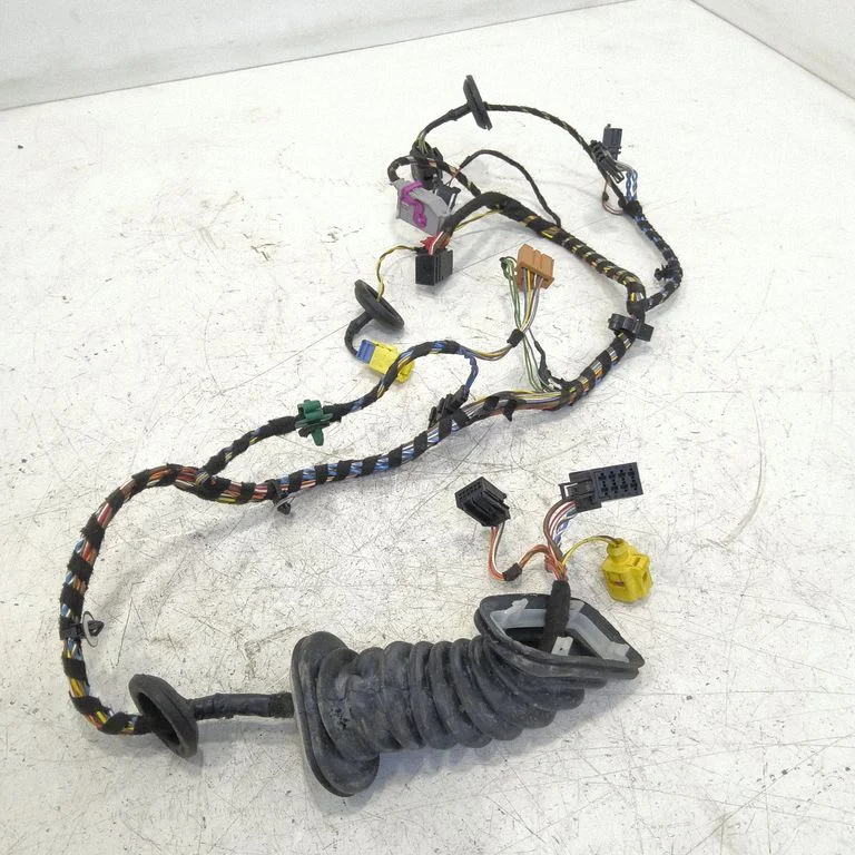 Front door wiring loom 1Z0120FQ
