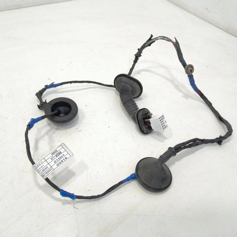 Tagaukse juhtmestik – tagumine