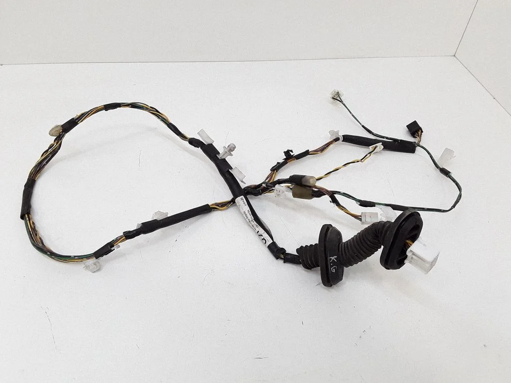 Rear door wiring loom – rear left