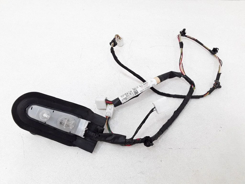 Rear door wiring loom GS1F67220