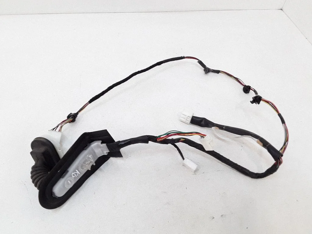Rear door wiring loom GS1F67210