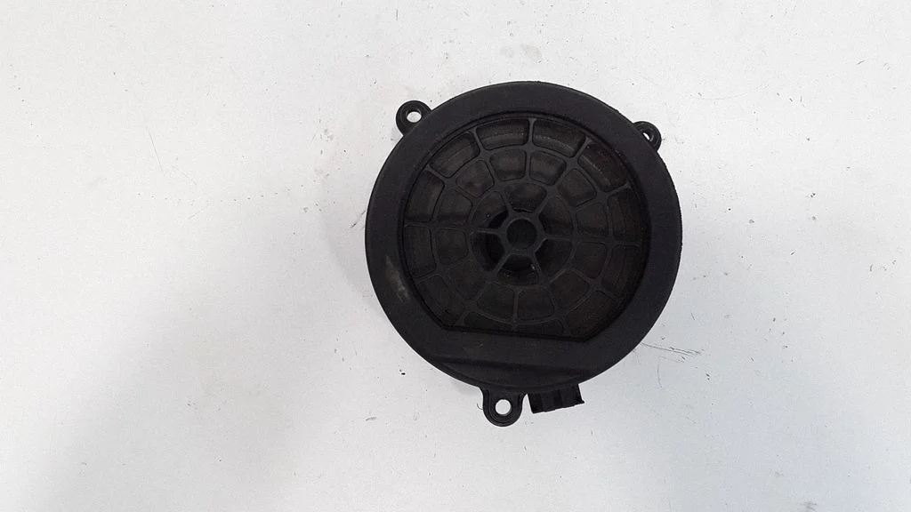 Rear door speaker