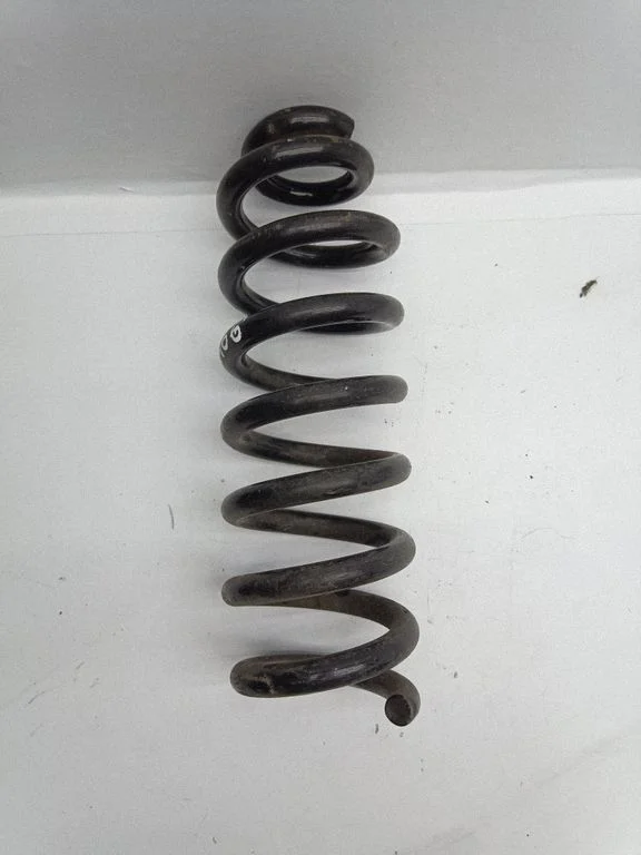 Rear coil spring