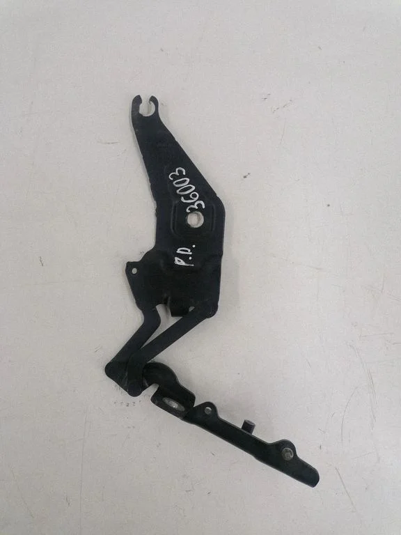 Engine bonnet/hood hinges 720862801
