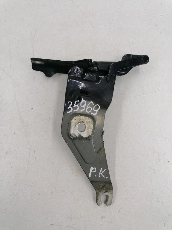 Engine bonnet/hood hinges 720862701