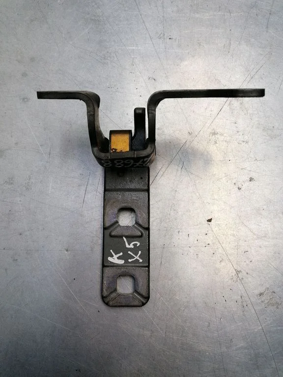 Tailgate/trunk/boot hinge – left