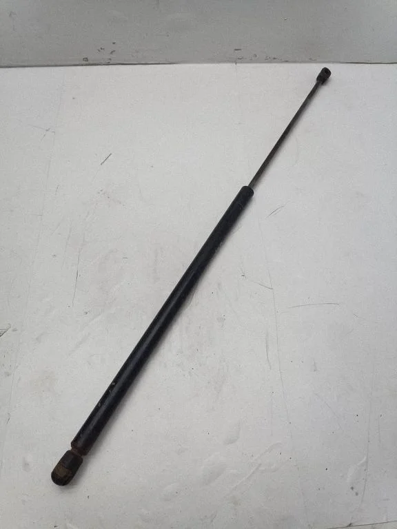 Tailgate/trunk strut/damper
