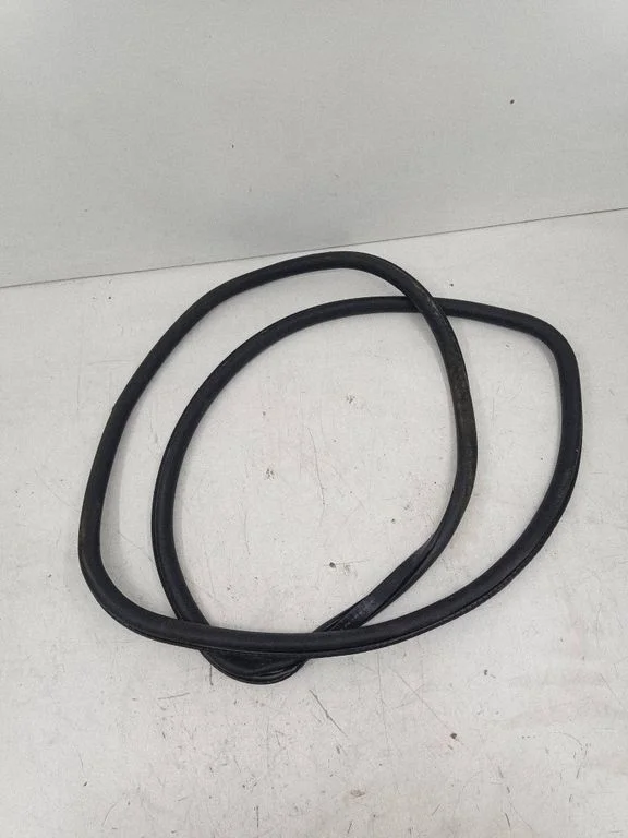 Rear door rubber seal (on body) 7179131