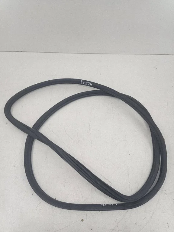Rear door rubber seal (on body) 7305618