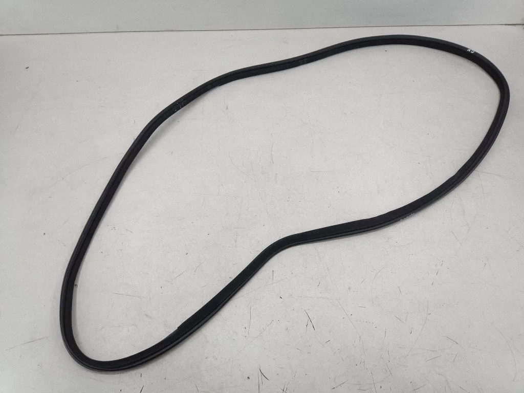 Rear door rubber seal (on body) – left