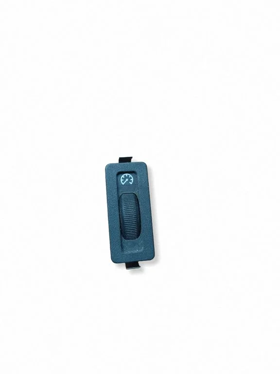 Panelės apšvietimo reguliavimo jungtukas