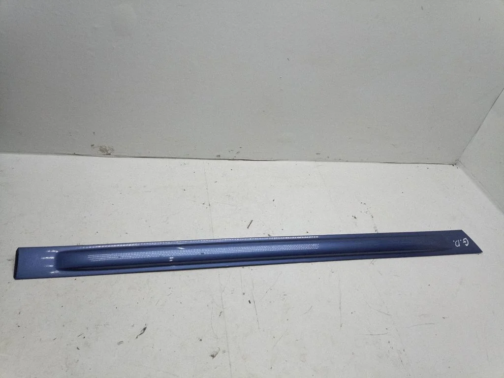Rear door trim (molding) 11009F