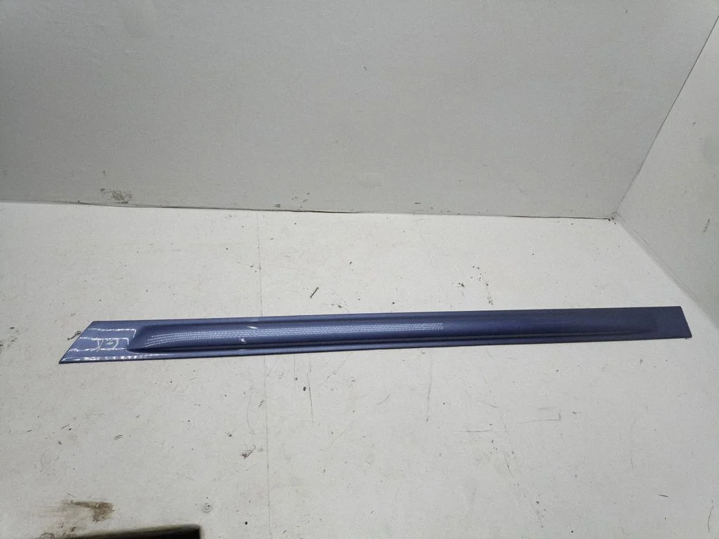 Rear door trim (molding) 11009F