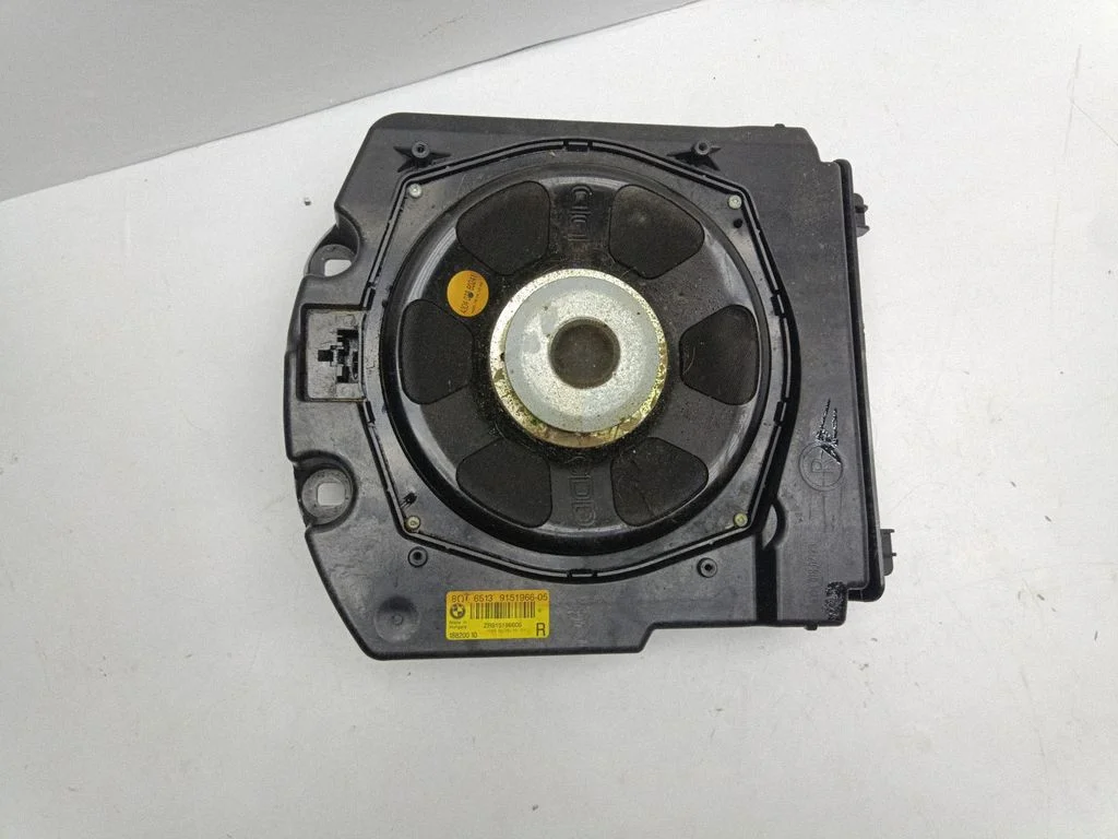 Subwoofer speaker 18820010
