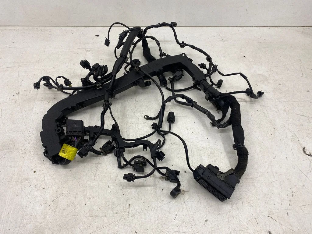 Engine installation wiring loom A6511509220