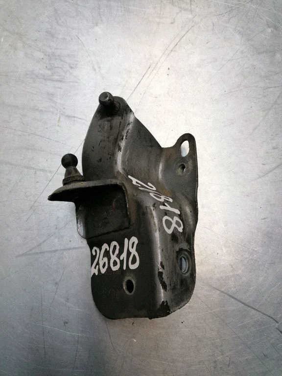 Other body part 7L6805888
