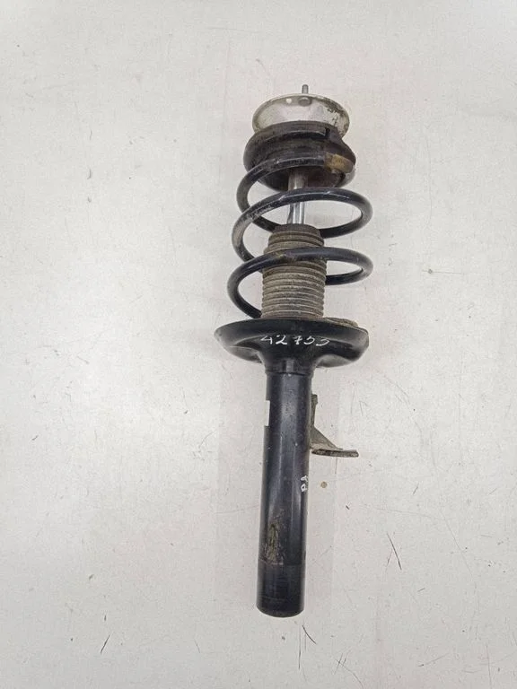Front shock absorber with coil spring 317570
