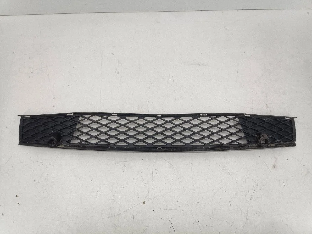 Front bumper lower grill 5110305014