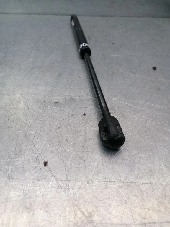 Front bonnet/hood damper/strut