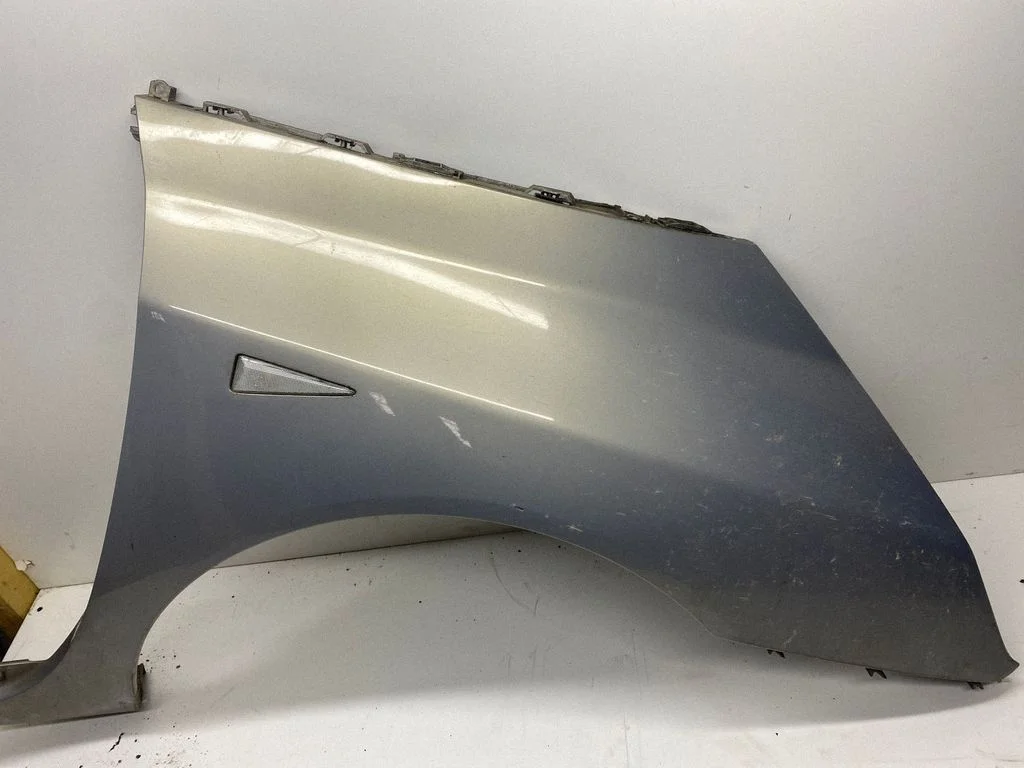 Fender 8200155751