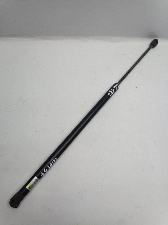 Tailgate/trunk strut/damper