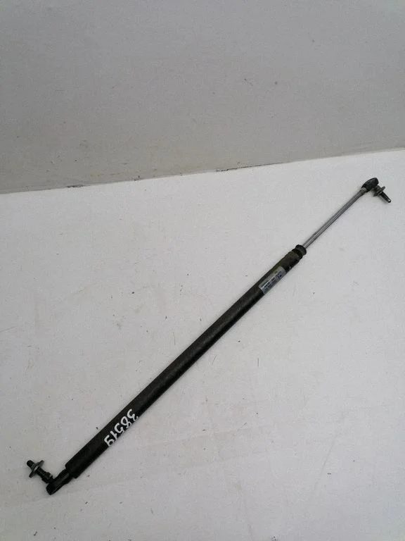 Tailgate/trunk strut/damper 04894554AC