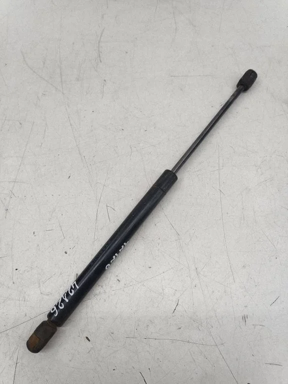 Tailgate/trunk strut/damper