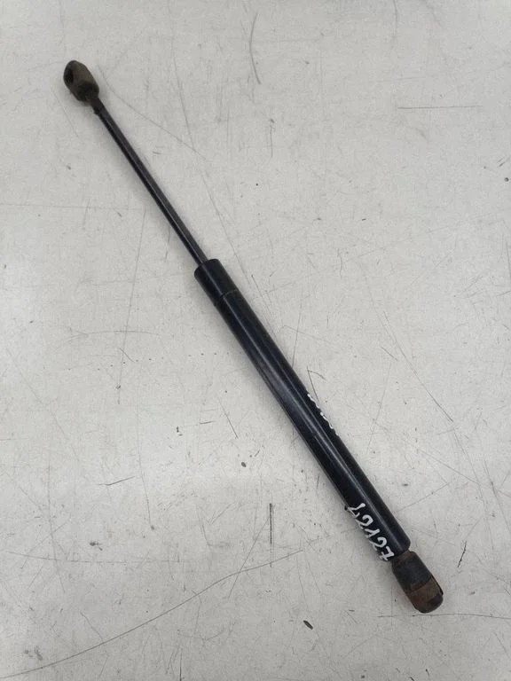 Tailgate/trunk strut/damper