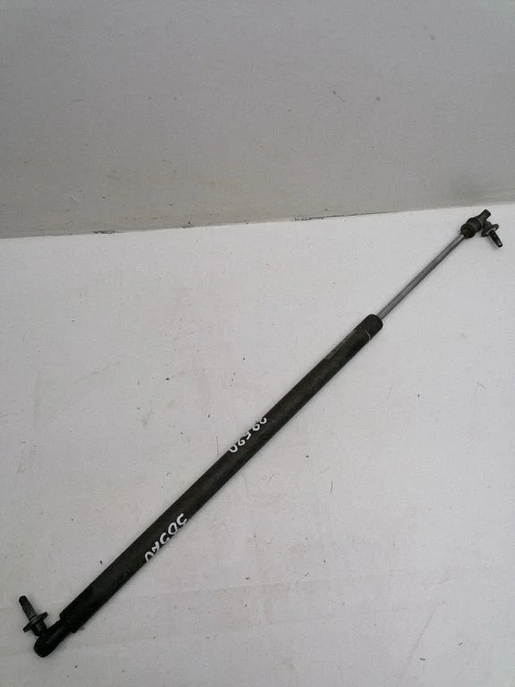 Tailgate/trunk strut/damper 04894554AC