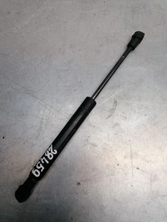 Tailgate/trunk strut/damper 9154605