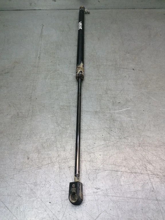 Tailgate/trunk strut/damper 16409100000