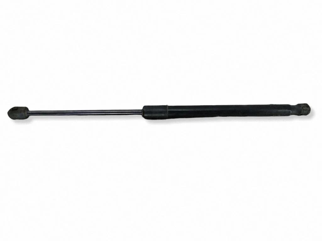 Tailgate/trunk strut/damper 3AF827550B