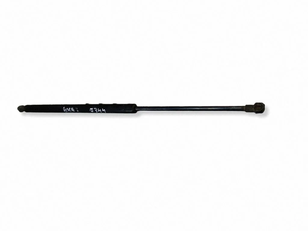 Tailgate/trunk strut/damper 601323391