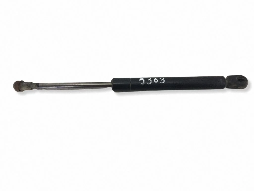 Tailgate/trunk strut/damper