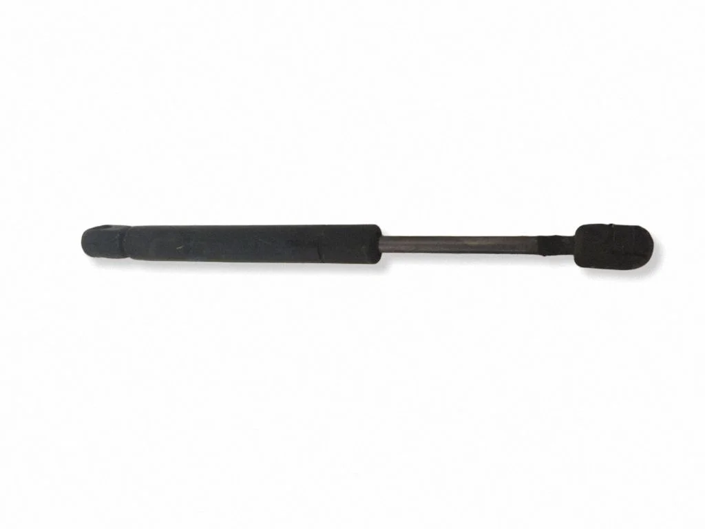 Tailgate/trunk strut/damper