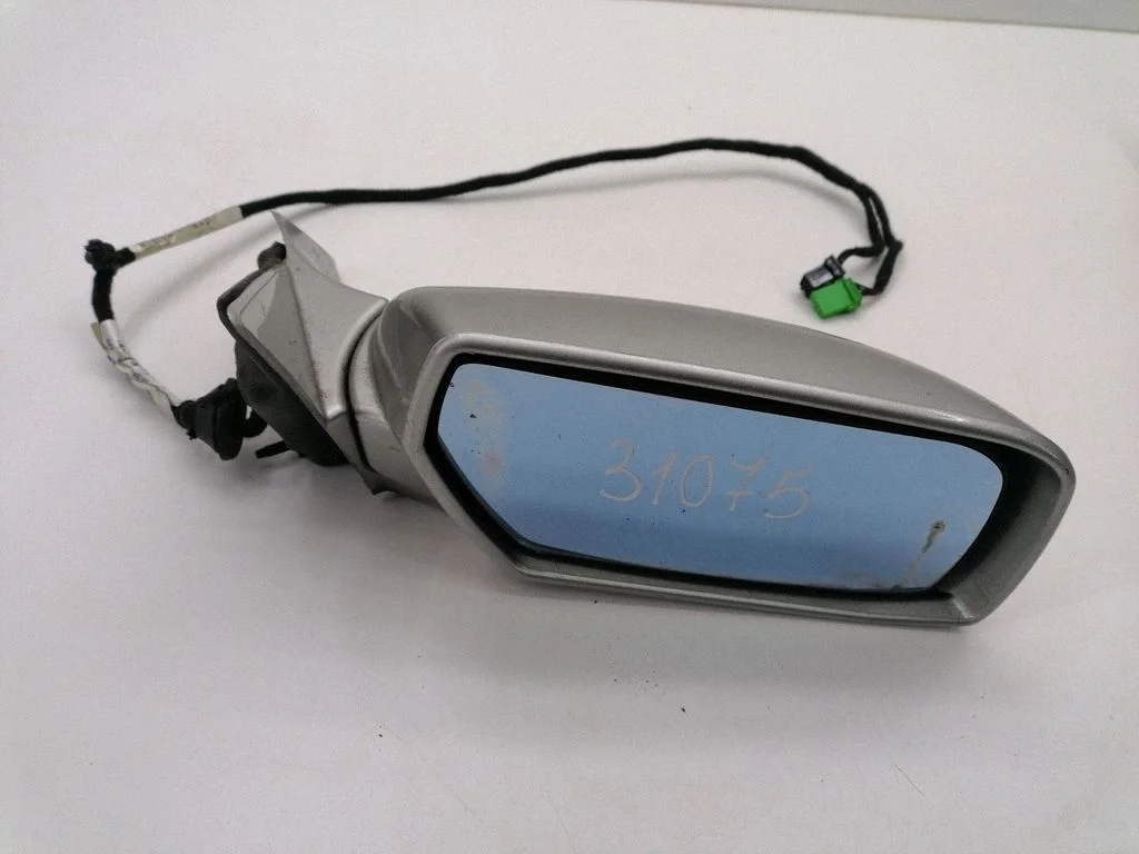 Front door electric wing mirror E11025788