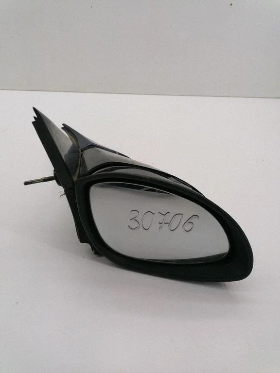 Front door electric wing mirror E1010446