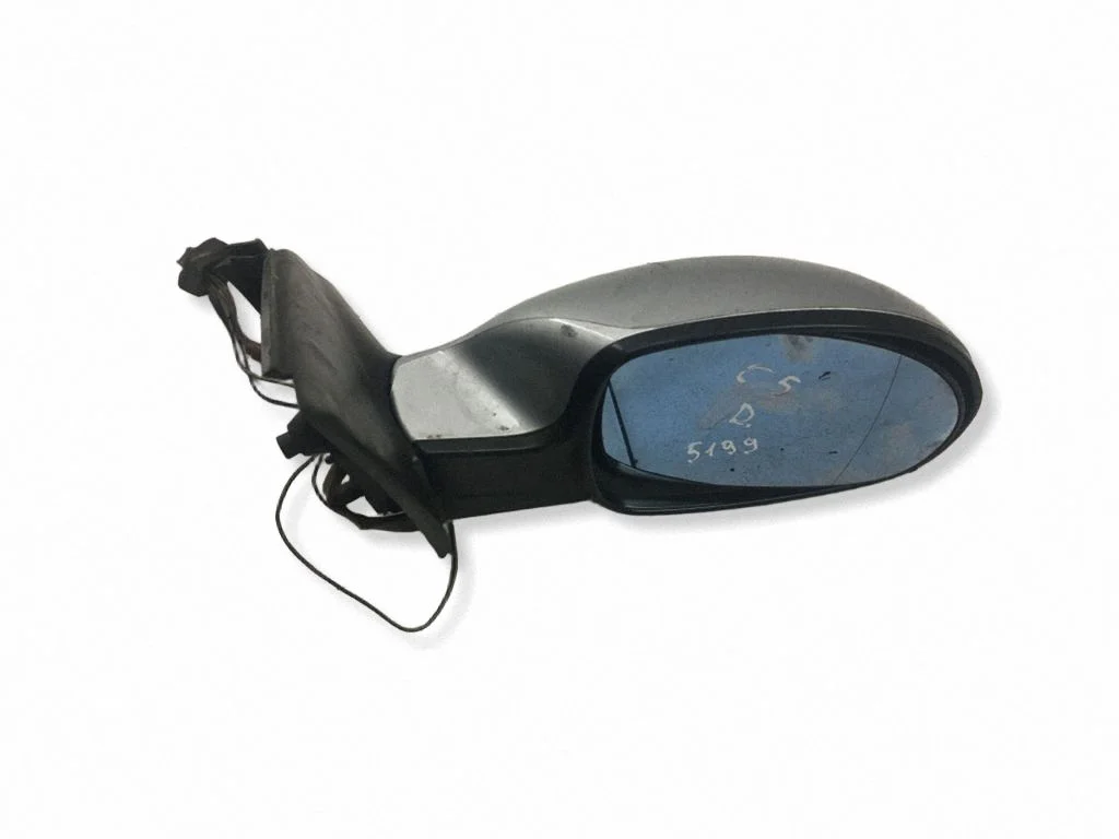 Front door electric wing mirror 019013